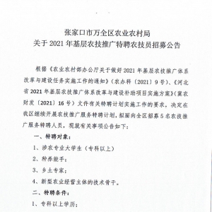 2021河北邢臺市信都區(qū)招聘融媒體中心工作人員10名公告