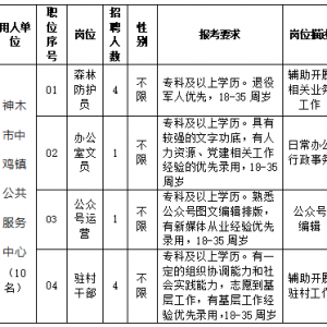 榆林神木市中雞鎮(zhèn)公共服務(wù)中心招聘公告（10人）