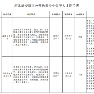 河北雄安新區(qū)選調(diào)專業(yè)骨干人才13名公告