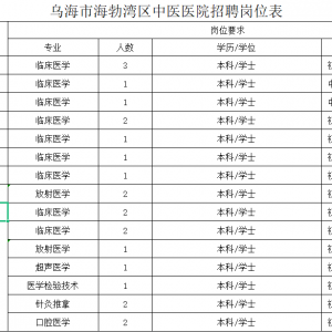 烏海海勃灣區(qū)中醫(yī)醫(yī)院招聘23專業(yè)技術人員公告