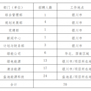 國家電投集團(tuán)鋁電投資有限公司公開招聘公告