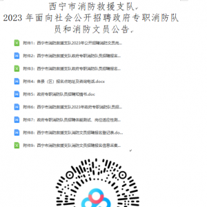 西寧市消防救援支隊2023年面向社會公開招聘政府專職消防隊員和消防文員公告 ...