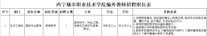 西寧城市職業(yè)技術(shù)學院編外教師招聘公告