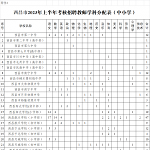 涼山西昌市公開考核招聘283名教師的公告