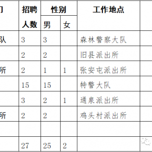 云南曲靖市馬龍公安分局警務(wù)輔助人員招聘公告（27人）