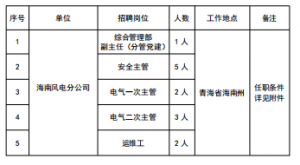 13人！國家電投集團(tuán)黃河公司海南風(fēng)電分公司招聘