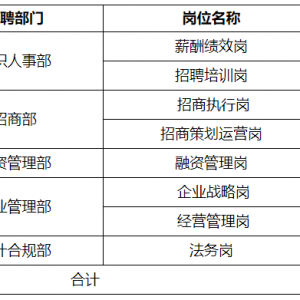 貴陽市投資控股集團有限公司招聘12人公告