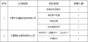 寧夏商務投資開發(fā)有限公司工作人員招聘簡章