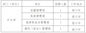 國家電投集團(tuán)鋁電投資有限公司公開招聘公告